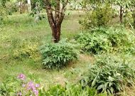 Двухкомнатная квартира, д. Оберовщина - 250070, мини фото 10