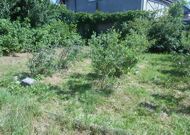 Продажа, Жилой дом,, 2024 г/п, лот 350368, мини фото 31