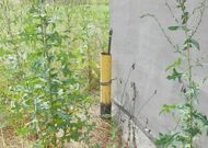 Коробка жилого дома - 350420, мини фото 15