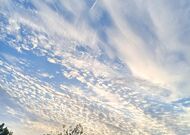 Жилой дом в Брестском районе 350484, мини фото 17