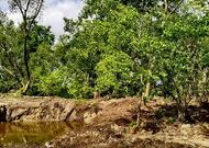 Продажа, Жилой дом лот 350520, мини фото 13