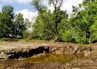 Продажа, Жилой дом лот 350520, мини фото 12