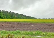 Четырехкомнатная квартира, Каменецкий р-н, Ратайчицкий с/с - 250266 , мини фото 34