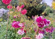 Жилой дом в Брестском районе 350484, мини фото 16