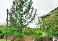 Четырехкомнатная квартира, Каменецкий р-н, Ратайчицкий с/с - 250266 , мини фото 2