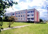Двухкомнатная квартира в аг. Беловежский 250403, мини фото 14