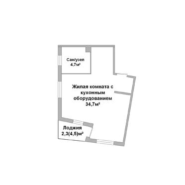 Продажа, Квартира, 1-к, 2024 г/п, лот 250539, план 1