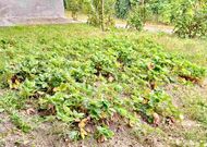 Жилой дом, Высокое г.- 350427, мини фото 18