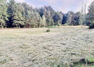 Дачный участок, лот 650477, мини фото 1