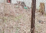 Дачный участок с домиком в стадии строительства-650313, мини фото 7