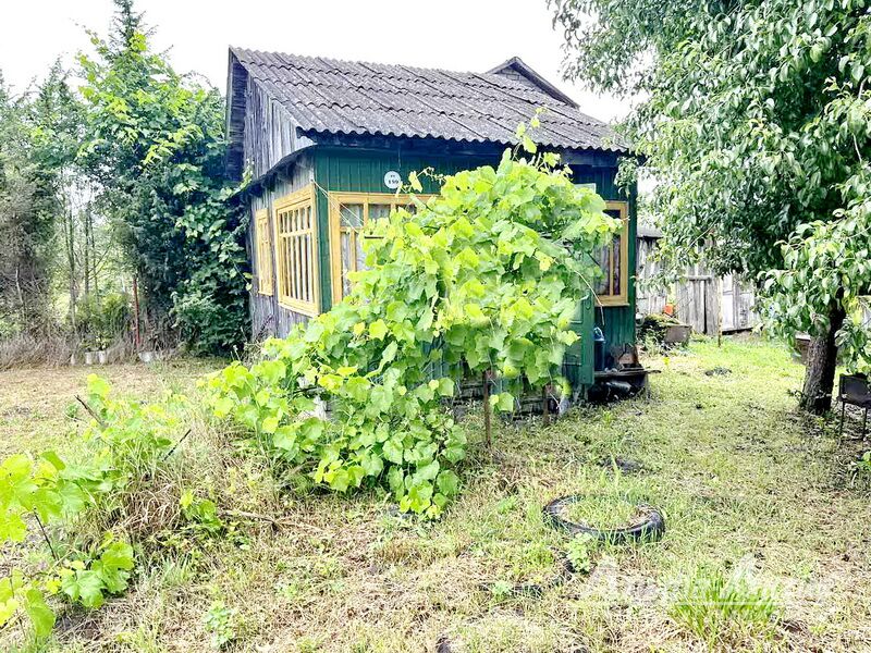 Дача СТ "Ольха" Брестский район - 650395, фото 1