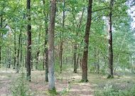 Дачный участок, лот 650477, мини фото 5