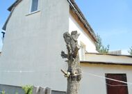 Продажа, Дача, 3-к, 1995 г/п, лот 650463, мини фото 5