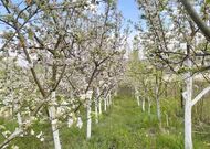 Продажа, Жилой дом,, 2024 г/п, лот 350368, мини фото 25