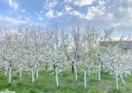 Продажа, Жилой дом,, 2024 г/п, лот 350368, мини фото 24