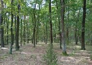 Дачный участок, лот 650477, мини фото 3