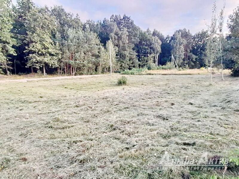 Дачный участок, лот 650477, фото 1