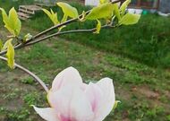 Продажа, Жилой дом,, 2024 г/п, лот 350368, мини фото 21