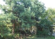 Продажа, Дача, 3-к, 1995 г/п, лот 650463, мини фото 25