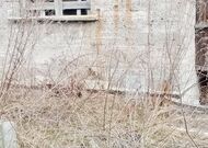 Дачный участок с домиком в стадии строительства-650313, мини фото 4